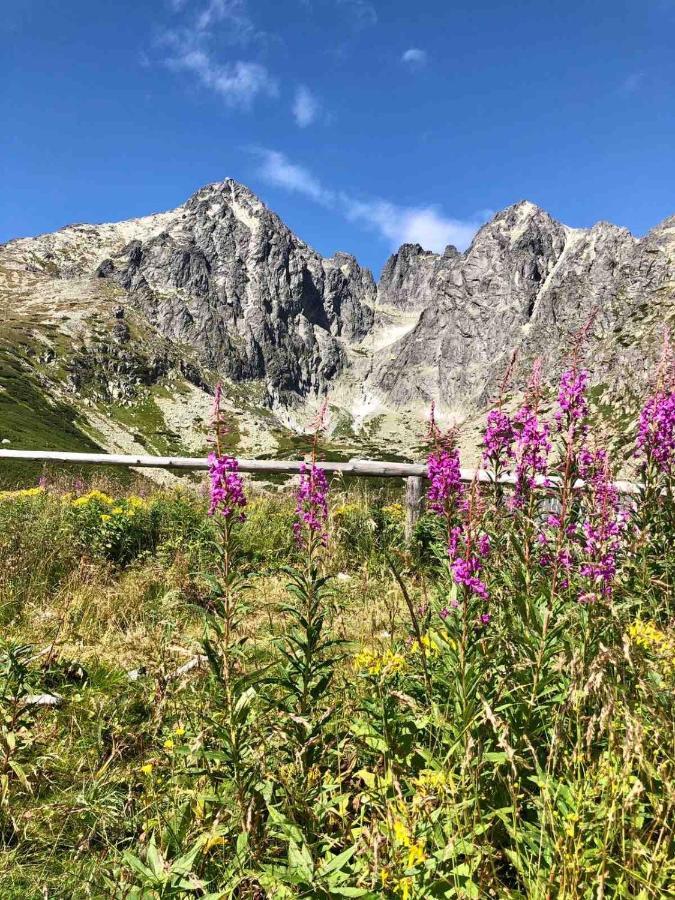 Apartmán Lesníček Stará Lesná Exterior foto